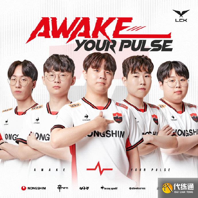 本届美网女 本届美网女