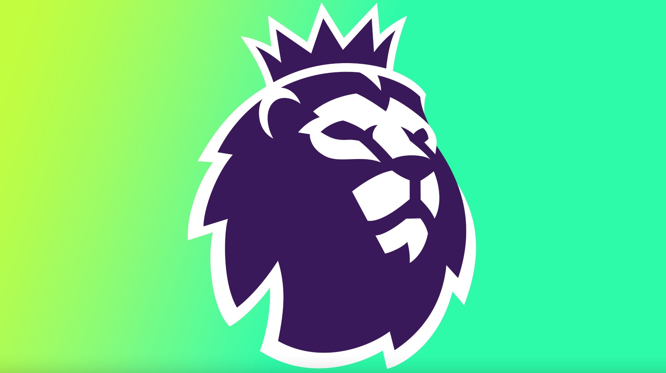 擂台上的争 擂台上的争