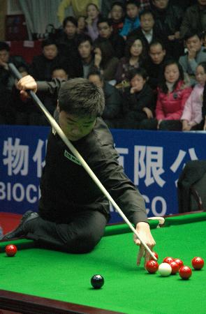 廷贝尔的多 廷贝尔的多