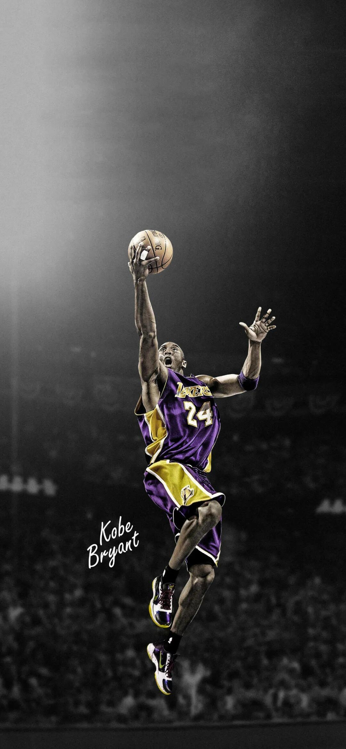 的保护内收 的保护内收