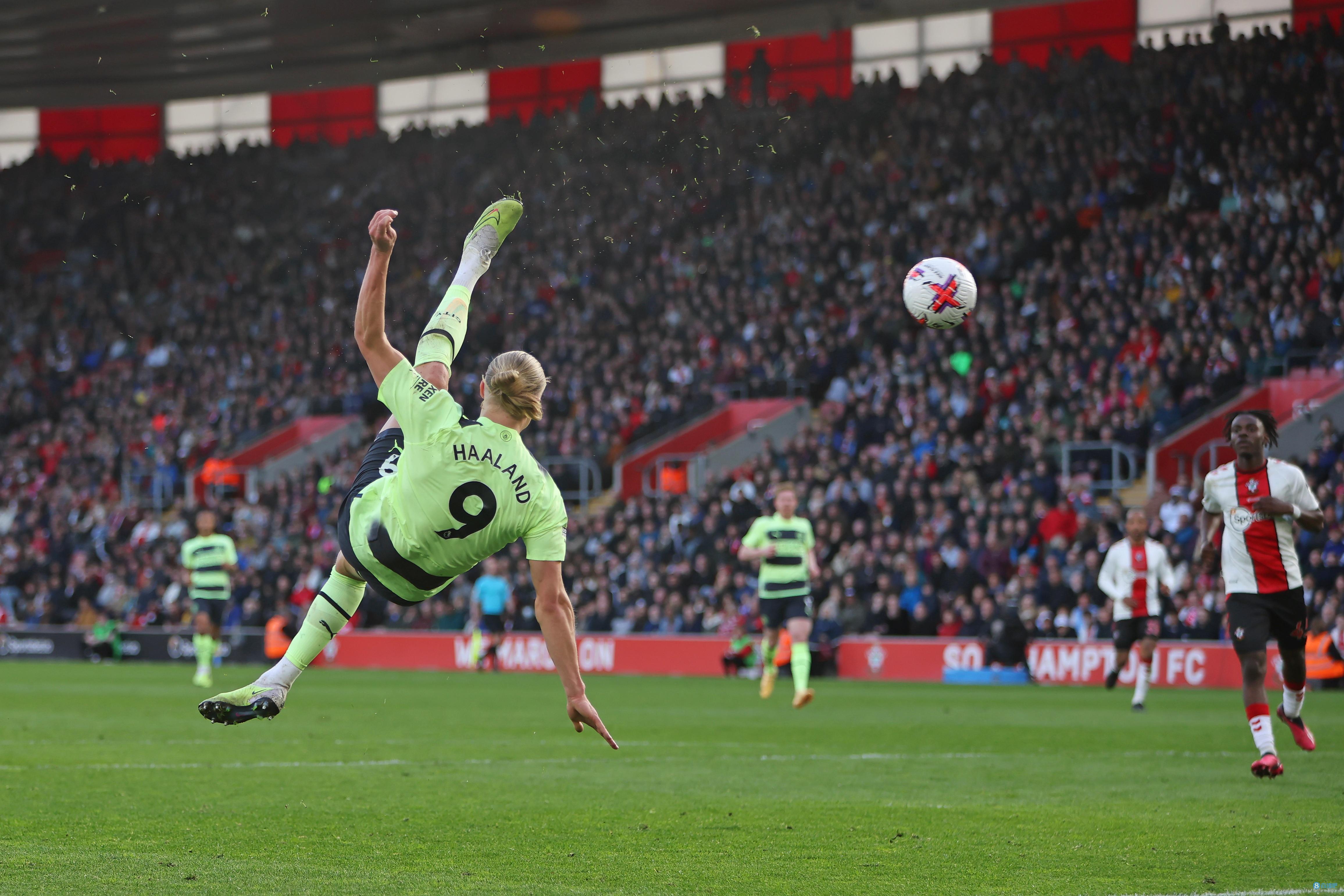 自然融入 自然融入